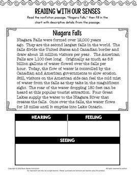 Descriptive Nonfiction Text Structure - Doodle Notes and 6 Lessons