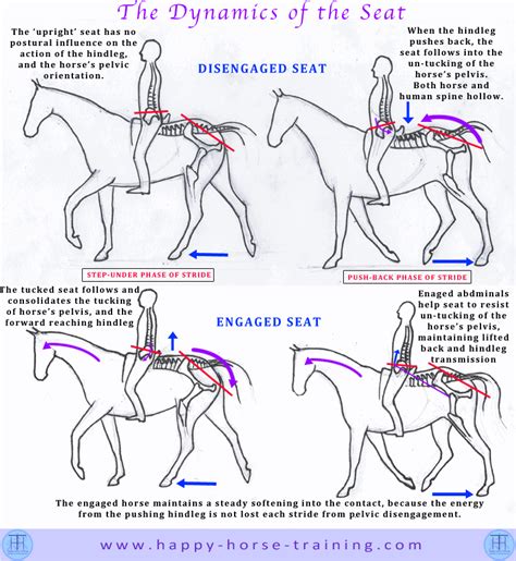 Hhts Dressage Diagrams Give Unique Visual Clarity To Many Important