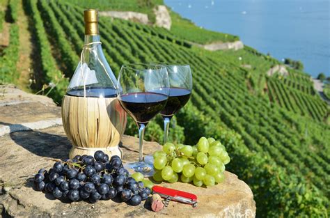 5 Places In Italy That Every Wine Lover Must Visit Blog