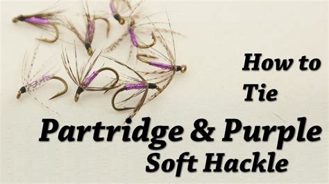 Partridge And Purple Soft Hackle Fly Tying For Trout Youtube