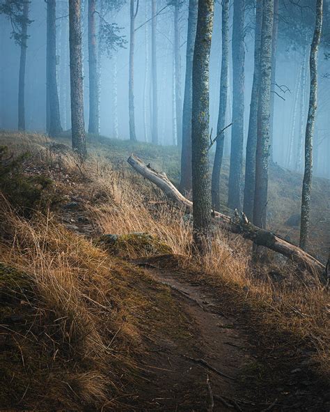 Foggy Forest Landscape By Juhaniviitanen On Deviantart