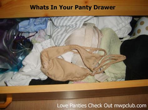 Panty Drawer Panties Drawer Underwear Drawer