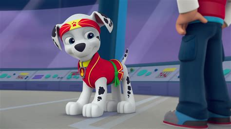 Image Sensei Yumi 31 Paw Patrol Wiki Fandom Powered By Wikia