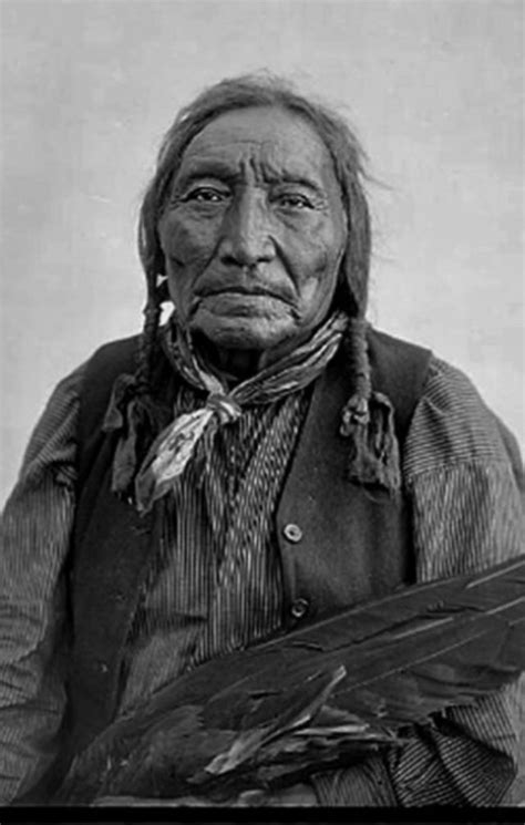 Chief Little Raven Native American Pictures Native American Photos