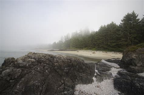 Pacific Rim National Park Vancouver Island Bc Alecringca