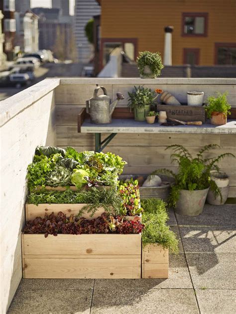 Alibaba.com offers 2,564 rooftop garden products. 7 Expert Tips for Rooftop Gardening | Urban garden design ...