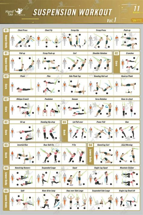 Pack Suspension Workout Posters Volume Laminated Exercise Charts 18 X