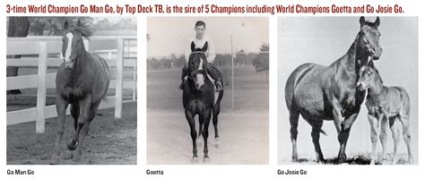 The Eternal Gamble - Vernon Pool - Speedhorse Magazine - Your Global