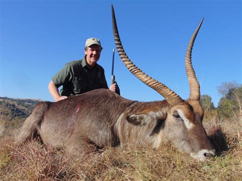 Trophy Waterbuck Hunting In South Africa Big Game Hunting Adventures