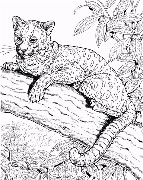 Free Printable Jaguar Coloring Pages