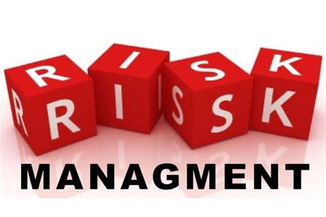 Enterprise Risk Management System Proof Reading Services