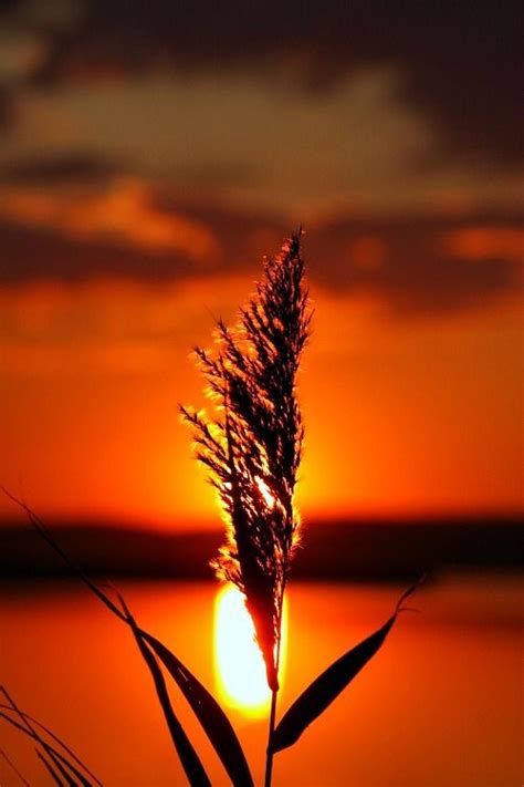 Sunsets And Silhouettes Beautiful Sunset Nature Scenes Sunset
