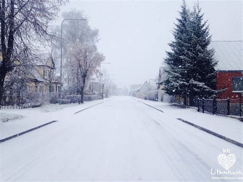 Lithuania Winter Scenes Outdoor Winter