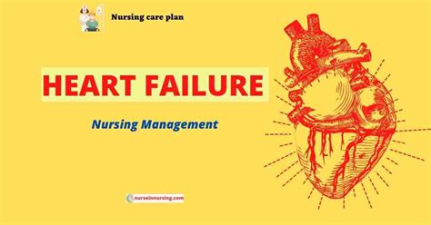4 Nursing Care Plan Of Heart Failure Nurse In Nursing