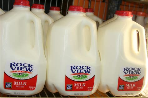 File Milk Jugs In A Row Wikipedia