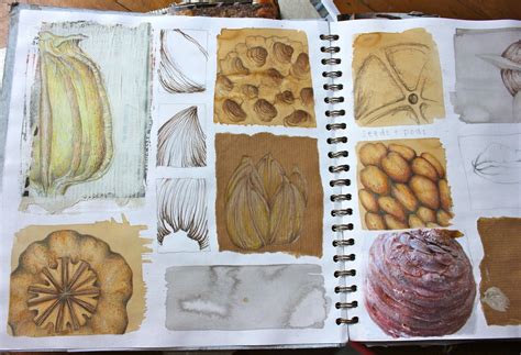 Pin By Jenmarie Zeleznak On Sketchbook And Preliminary Work Natural