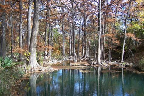 Tour Honey Creek State Natural Area: A Rare Experience Off the Beaten Path