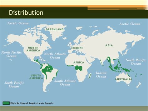 As i already mentioned, the tropical rainforests are located between the tropic of cancer and the tropic of capricorn, and the world's largest rainforests can be found in the amazon (south america), in the congo river basin (west africa) and in southeast asia. Tropical Rainforests