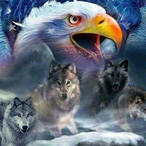 pin by sharlean mckee on a native american 2 with images native american beliefs wolf art