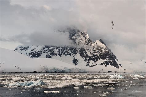 Antarctic No Photograph By Joe Bonita Fine Art America