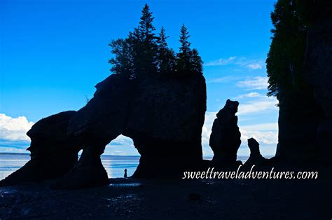 Exploring The Tidal Phenomena Of The Bay Of Fundy One Of The Marine