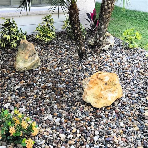 Xeriscaping Tampa Xeriscape Landscaping Design