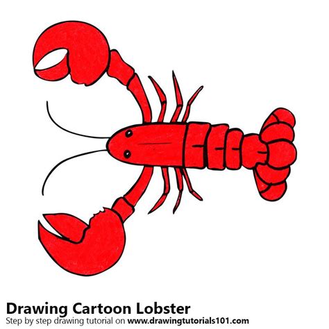 How To Draw A Cartoon Crayfish Step By Step Drawings Of Love