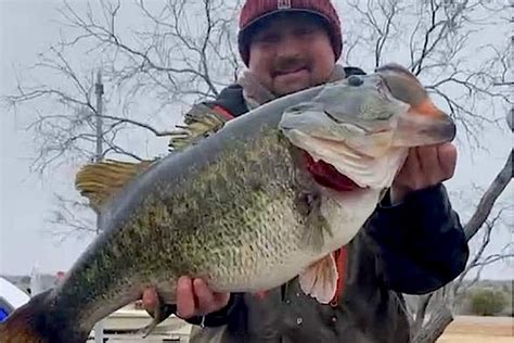 1706 Pounds Lunker Bass Biggest In Texas In 30 Years Game And Fish