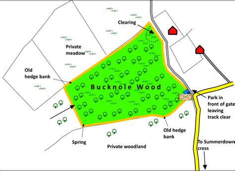 Bucknole Wood Mill Lane Offwell Honiton Devon South West England