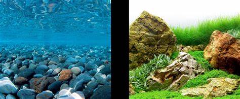  High Stoney River/Japanese Garden Background Aquarium Online Store