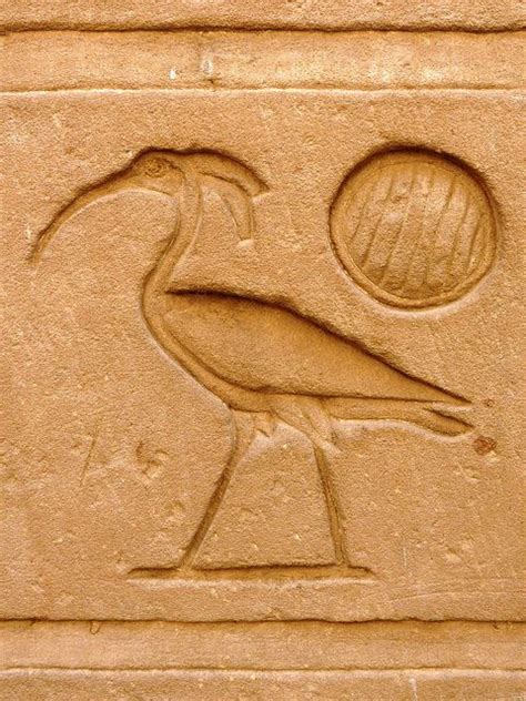 Ibis Hieroglyph Scribey Ancient Egypt Ancient Egyptian Art