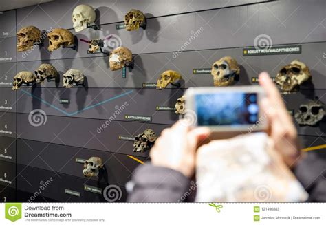 Old Human Skulls Editorial Stock Photo Image Of Kingdom 121496883