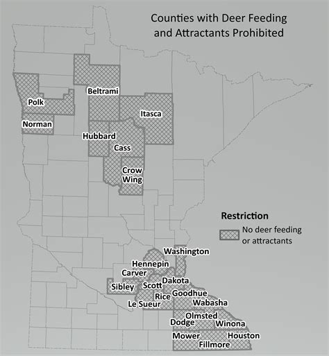 Minnesota DNR lifts deer-feeding bans in 24 counties, enacts new bans