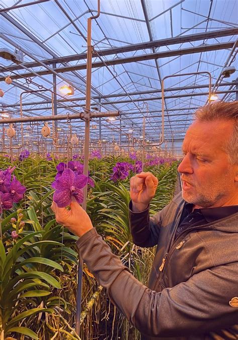 Visiting The Vanda Orchid Grower Ansu Vanda Blog On Thursd