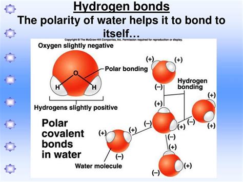 Hydrogen Bond Between Two Water Molecules