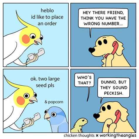 Bird Call Meme Guy