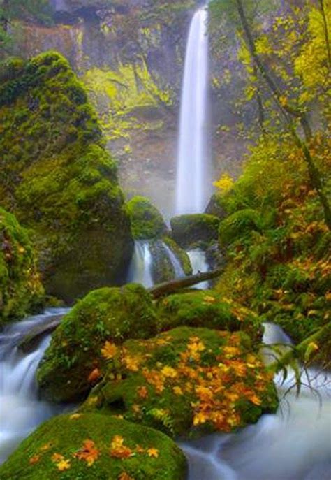 Elowah Falls Oregon Top Destinations1 Oregon Waterfalls Columbia