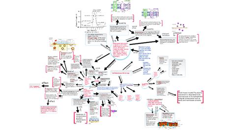Biology Mind Mapcell Membrane By Michaela B