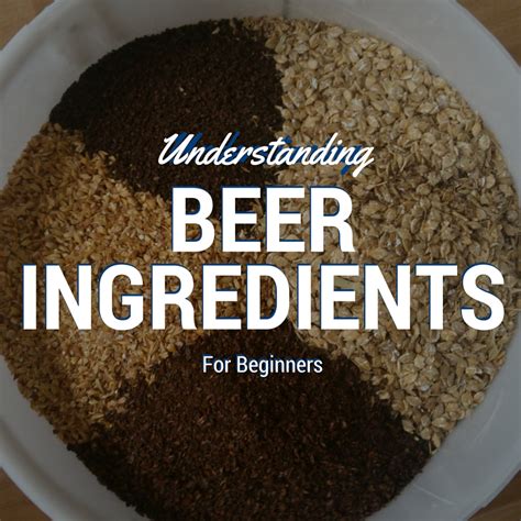 Understanding Beer Ingredients For Beginners
