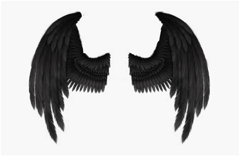 Cherub Angel Wing Fantasy Black Angel Wings Png Transparent Png
