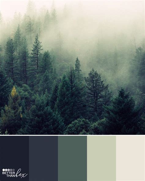 Foggy Forest Color Palette House Color Palettes Color Schemes Colour