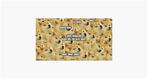 The 8 Best Doge Memes