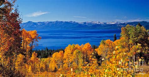 Fall Lake Tahoe Photograph By Vance Fox