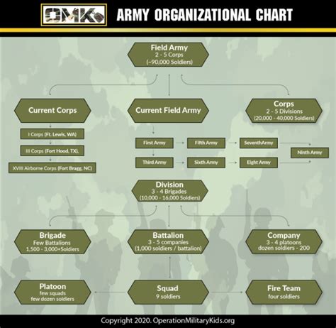 Platoon Size Us Army Organizational Structure For 2022