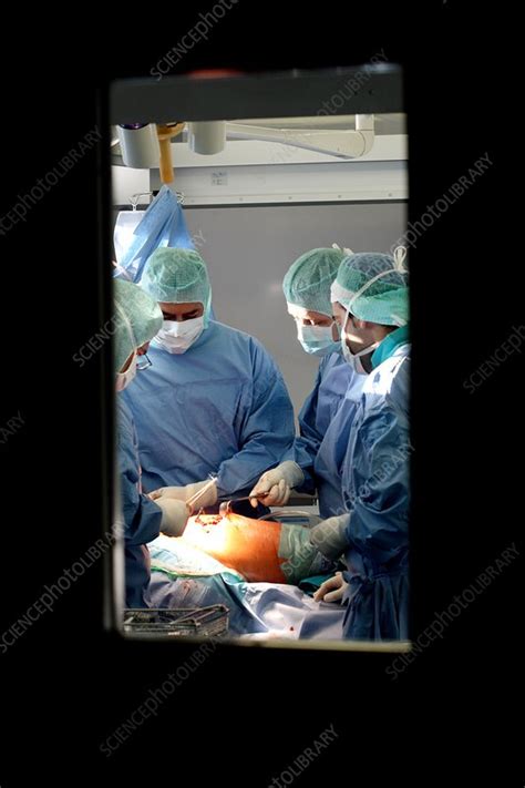 Hip Replacement Surgery Stock Image C008 7859 Science Photo Library