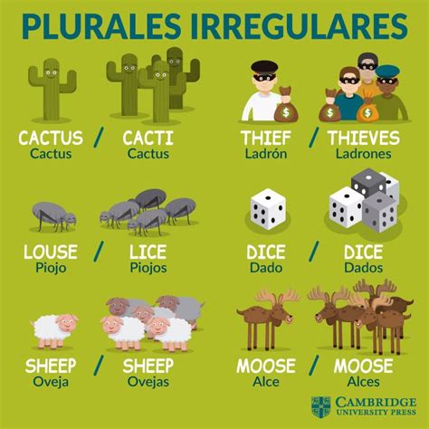 Plurales Irregulares Ortografia En Ingles Vocabulario En Ingles