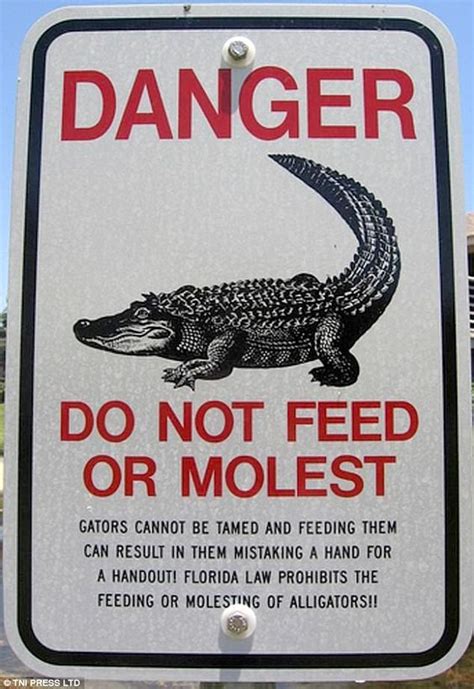 A Sign Warning People Not To Feed The Animals In Their Yard Or Garden