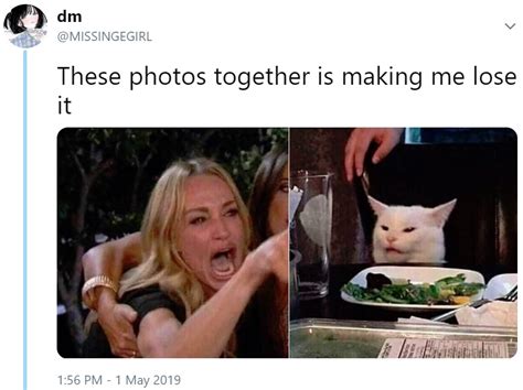 Missingegirls Tweet Woman Yelling At A Cat Know Your Meme