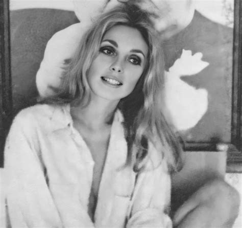 Sharon Tate By James Silke Sharon Tate Tate Sharon