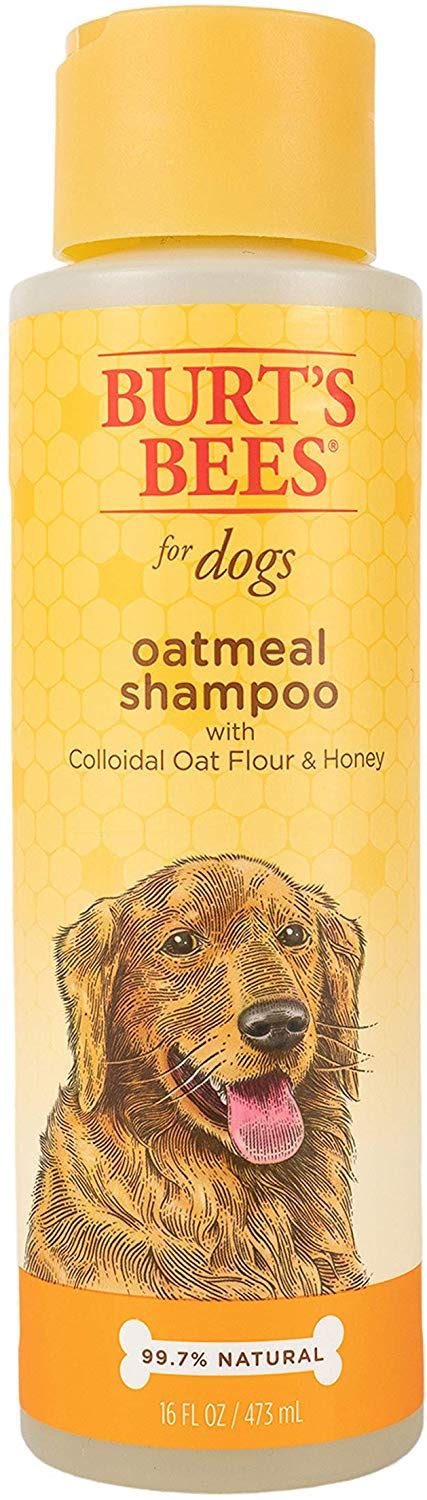 Best Dog Shampoo For Dogs With Dry And Itchy Skin